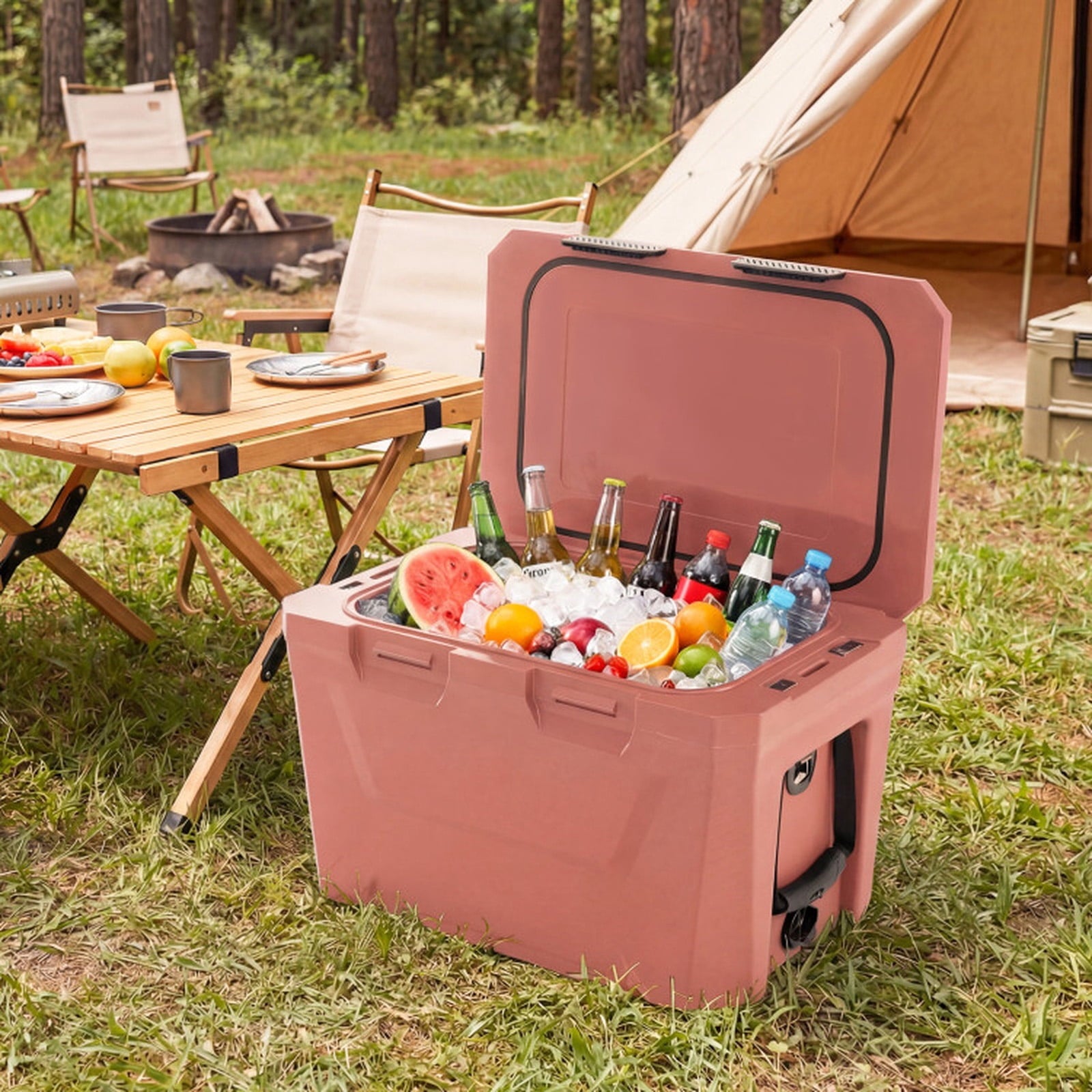 Biotree Insulated Portable Cooler Hard Shell Ice Chest with 2 Cup Holders Bottle Opener and Drain Plug, 37 Qt, Pink