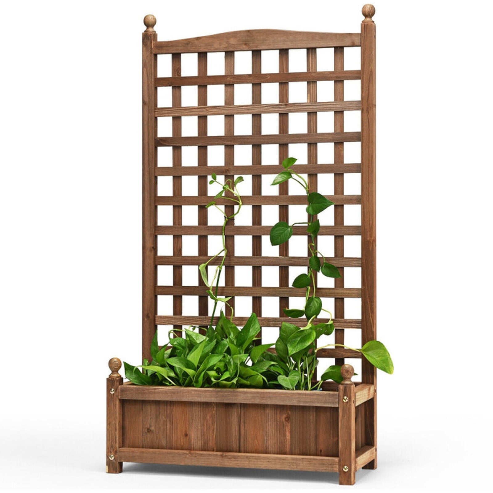 Biotree Solid Free Standing Wood Planter Box with Trellis for Garden Dark brown - Outdoor Backyard Patio Garden Planting