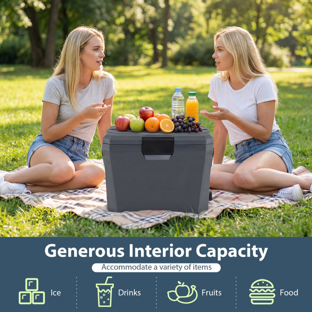Biotree 21 Qt Insulated Portable Cooler Hard Shell Ice Chest with 2 Cup Holders, Gray