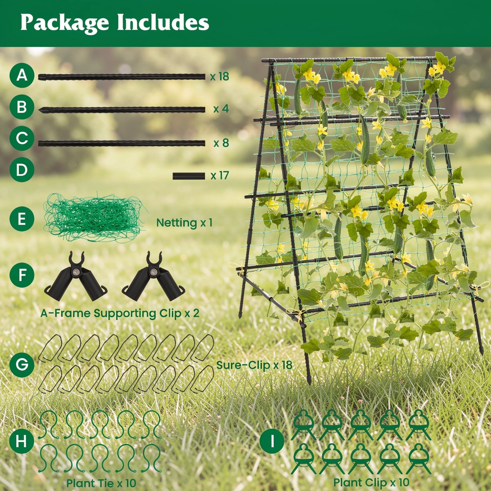Biotree A-Frame Garden Cucumber and Vegetable Trellis with Climbing Netting for Outdoor Garden - Black