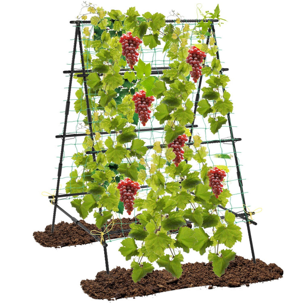 Biotree A-Frame Garden Cucumber and Vegetable Trellis with Climbing Netting for Outdoor Garden - Black
