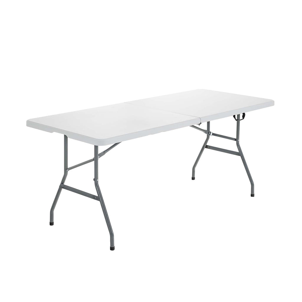 Biotree Portable Folding Camping Table with Carrying Handle for Picnic, White