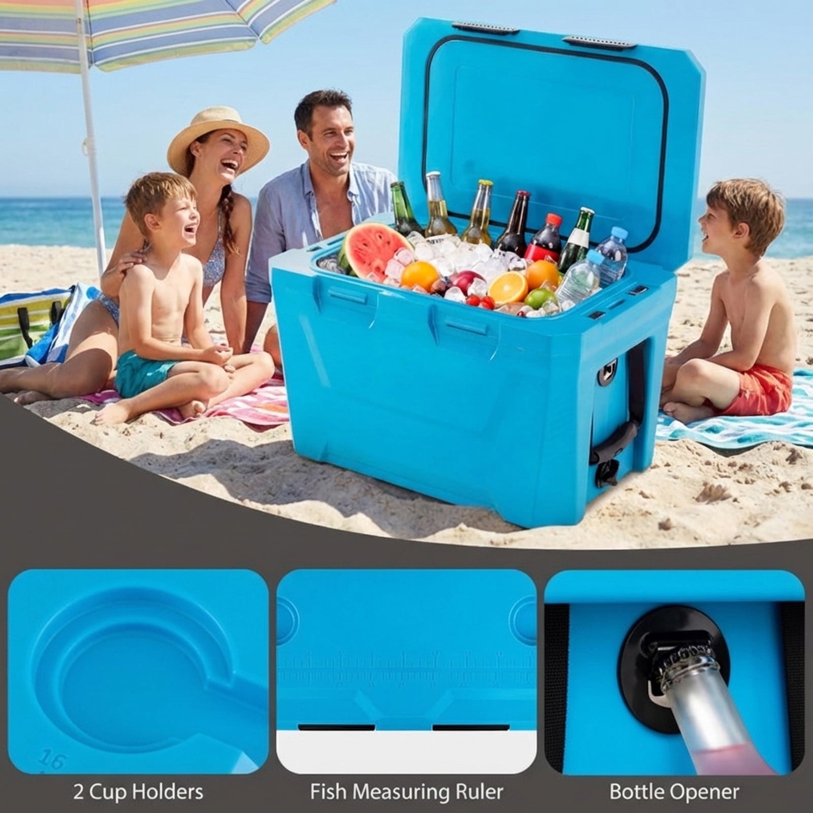 Biotree Insulated Portable Cooler Hard Shell Ice Chest with 2 Cup Holders Bottle Opener and Drain Plug, 37 Qt, Blue