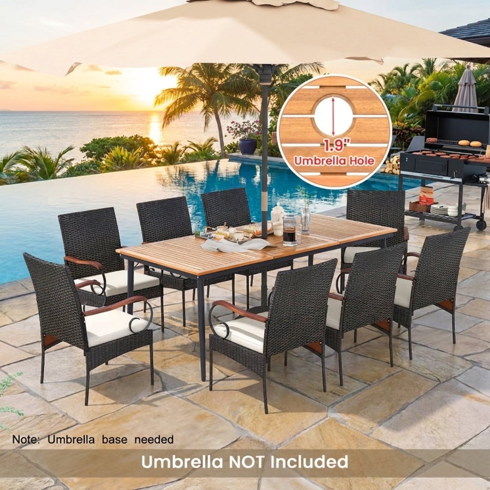 Biotree 9 Pieces Rattan Patio Dining Set with Acacia Wood Table and Cushioned Chair Outdoor Conversation Set for Garden Backyard PorchMix Gray