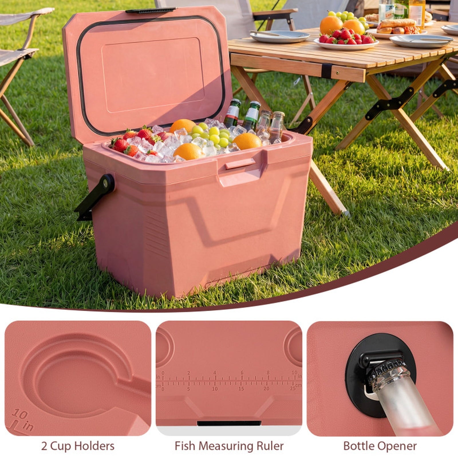 Biotree 21 Qt Insulated Portable Cooler Hard Shell Ice Chest with 2 Cup Holders, Pink