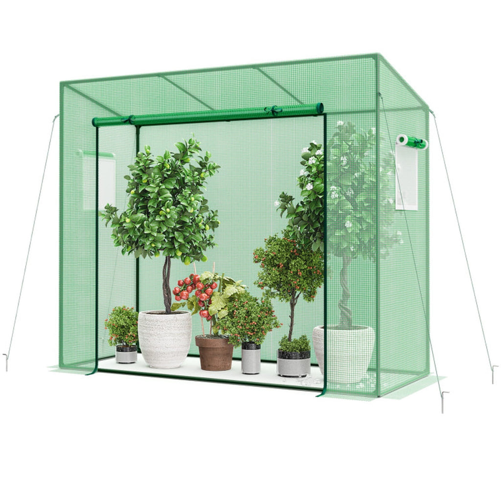 Biotree Outdoor Portable Walk-in Greenhouse with PE Cover Heavy-Duty Metal Frame Roll for Outdoor Garden Backyard Patio Vegetables Flowers, Green