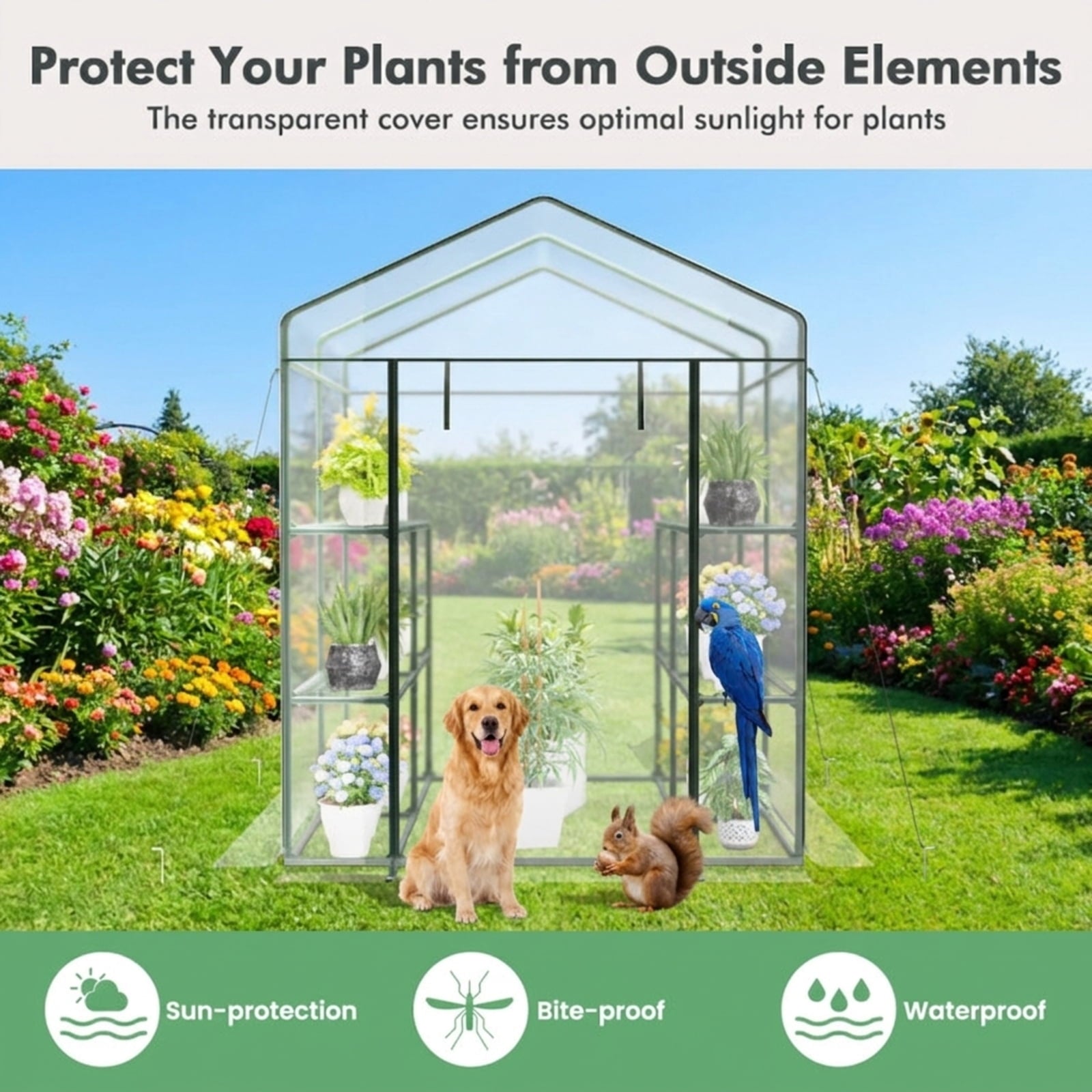 Biotree Walk-in Greenhouse with 3 Tiers 8 Shelves PVC Cover Roll for Outdoor Garden Backyard Patio Vegetables Flowers, Transparent