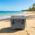 Biotree 16 Quart 24 Can Capacity Portable Insulated Ice Cooler with 2 Cup Holders, Gray