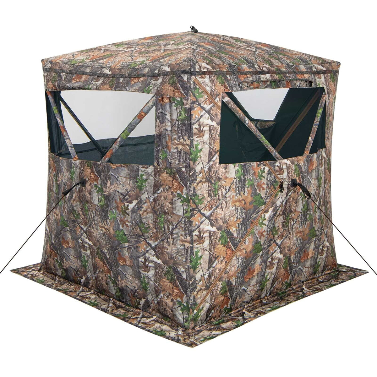 Biotree 2-3 Person Pop Up Ground Hunting Blind and Carrying Bag for Deer Turkey Hunting