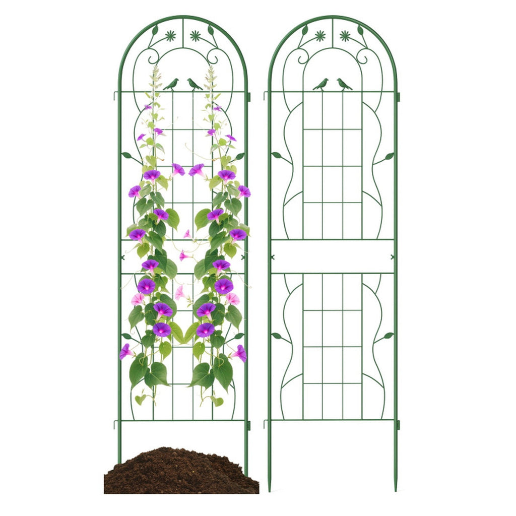 Biotree 2 Pack 71 x 20 Inch Metal Garden Trellis Rustproof Plant Support for Climbing Plants for Indoor Outdoor Patio Balcony Garden, Green
