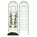 Biotree 2 Pack 71 x 20 Inch Metal Garden Trellis Rustproof Plant Support for Climbing Plants for Indoor Outdoor Patio Balcony Garden, Green