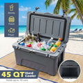 Biotree Folding Ice Bin Cooler Table with Drain Plug for Outdoor Party BBQ and Tailgating, Gray