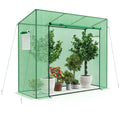 Biotree Outdoor Portable Walk-in Greenhouse with PE Cover Heavy-Duty Metal Frame Roll for Outdoor Garden Backyard Patio Vegetables Flowers, Green