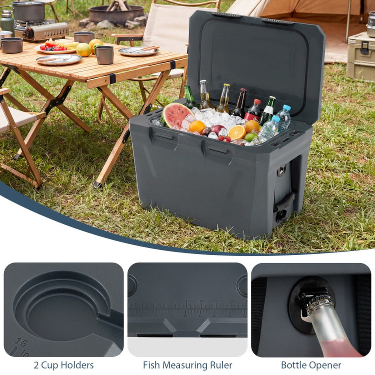Biotree Insulated Portable Cooler Hard Shell Ice Chest with 2 Cup Holders Bottle Opener and Drain Plug, 37 Qt, Gray