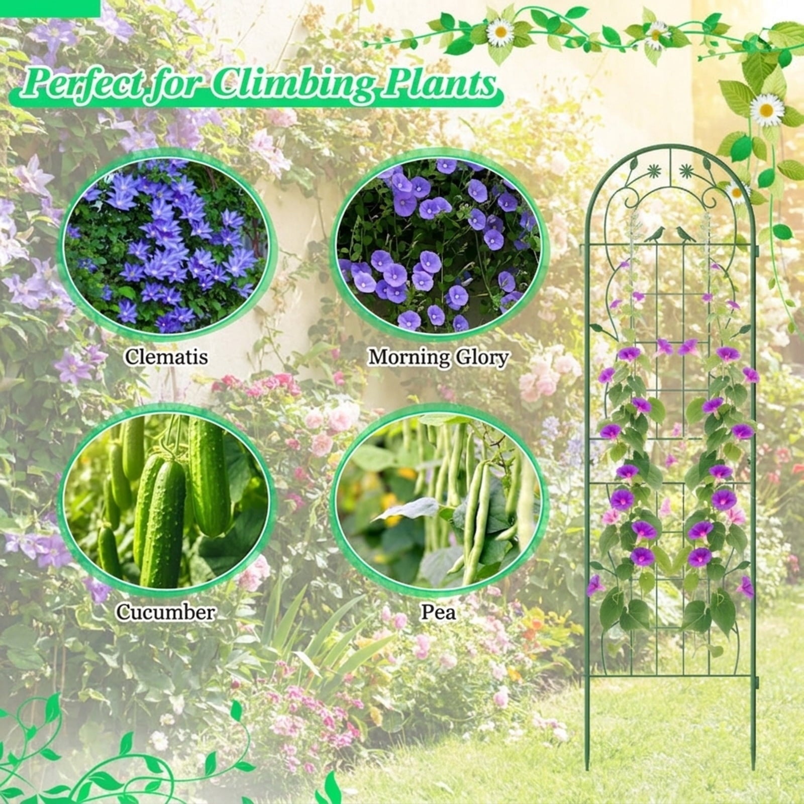 Biotree 2 Pack 71 x 20 Inch Metal Garden Trellis Rustproof Plant Support for Climbing Plants for Indoor Outdoor Patio Balcony Garden, Green