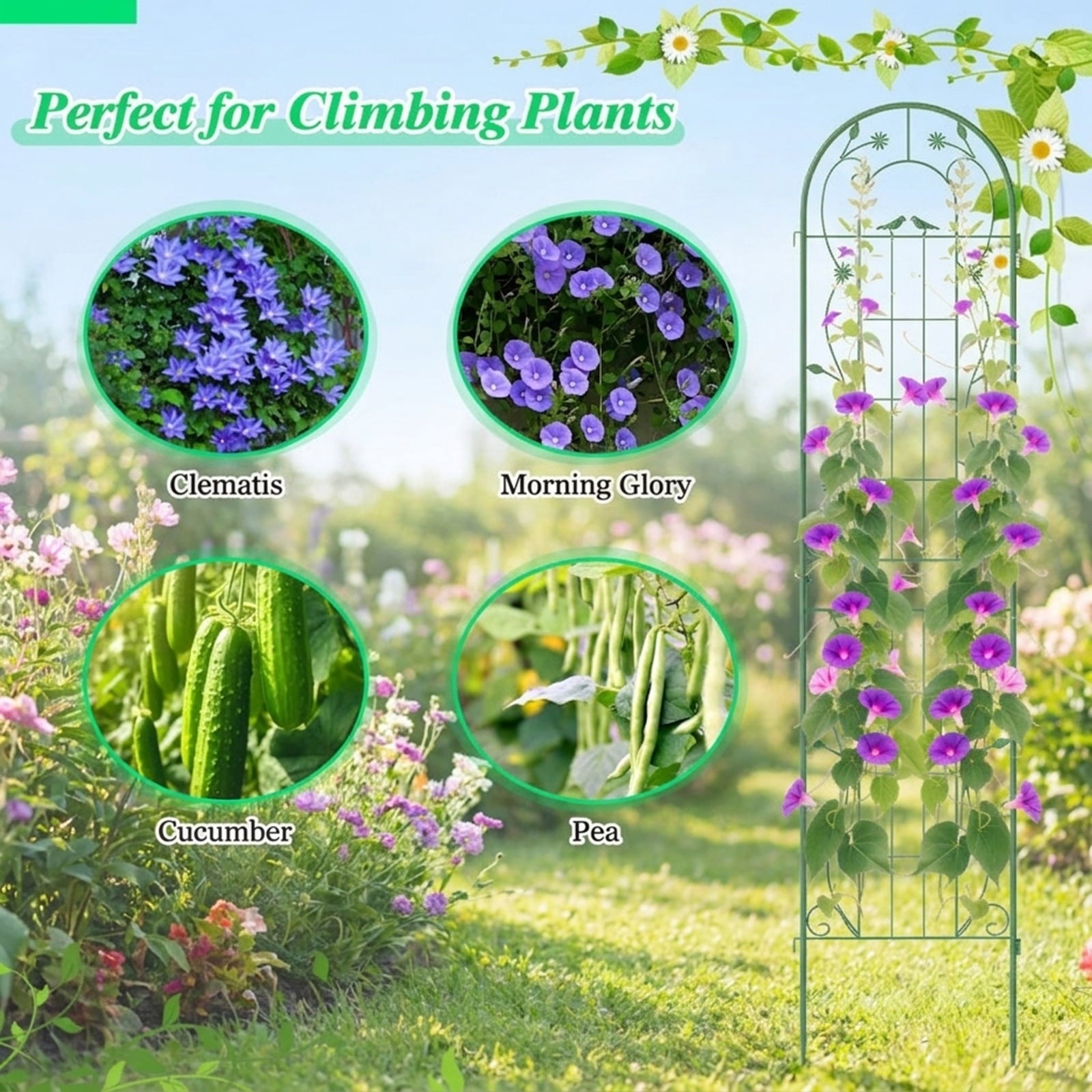 Biotree 2 Pack 86.5 x 20 Inches Metal Garden Trellis for Climbing Plants for Indoor Outdoor Patio Balcony Garden, Green