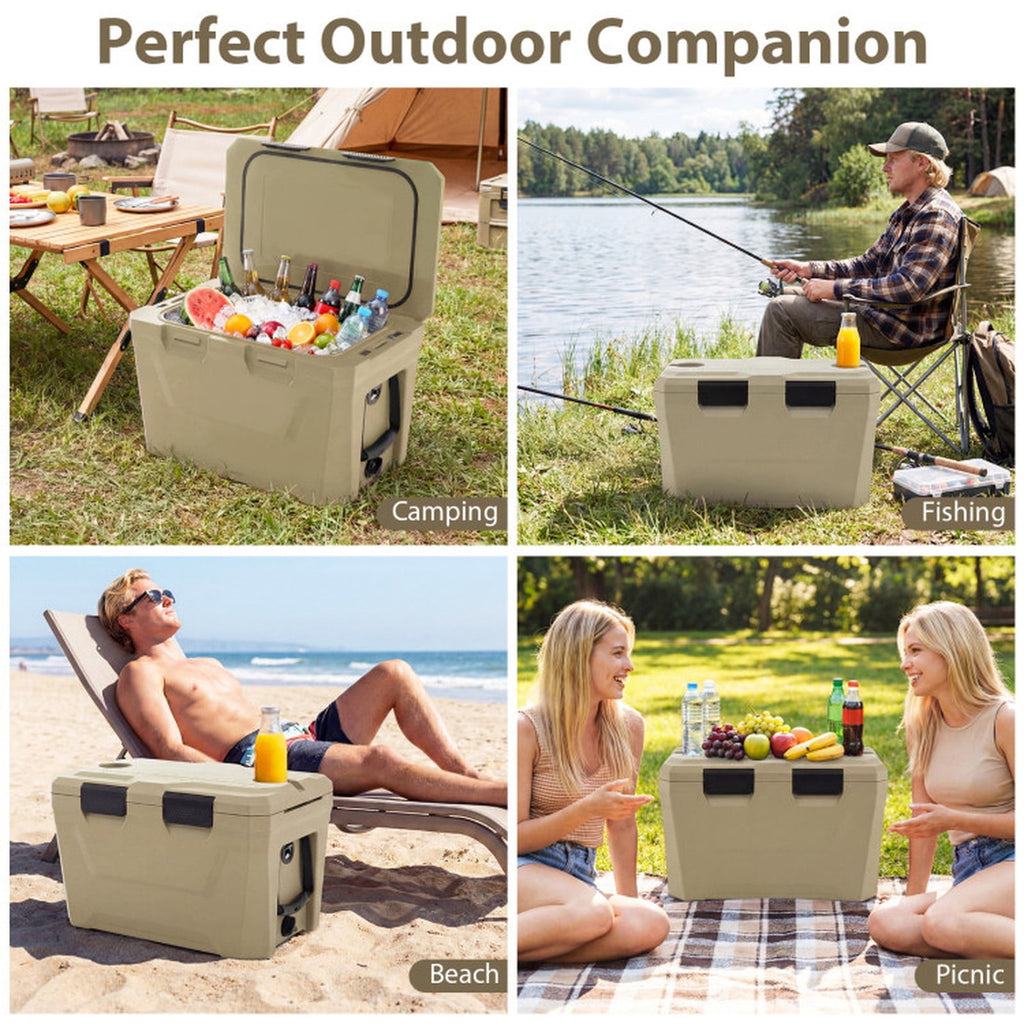 Biotree Insulated Portable Cooler Hard Shell Ice Chest with 2 Cup Holders Bottle Opener and Drain Plug, 37 Qt, Off-White