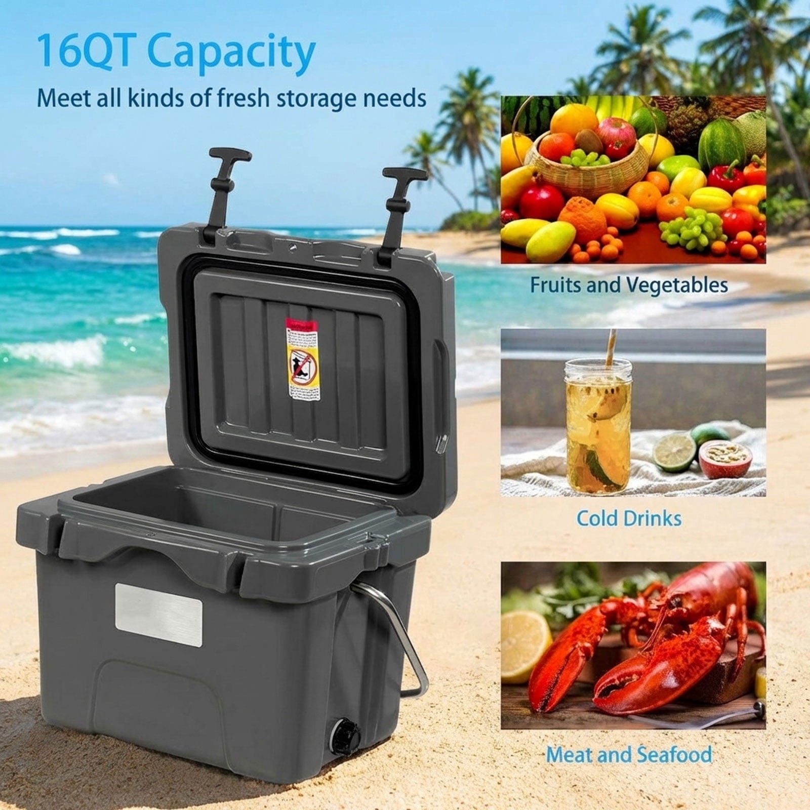Biotree 16 Quart 24 Can Capacity Portable Insulated Ice Cooler with 2 Cup Holders, Gray
